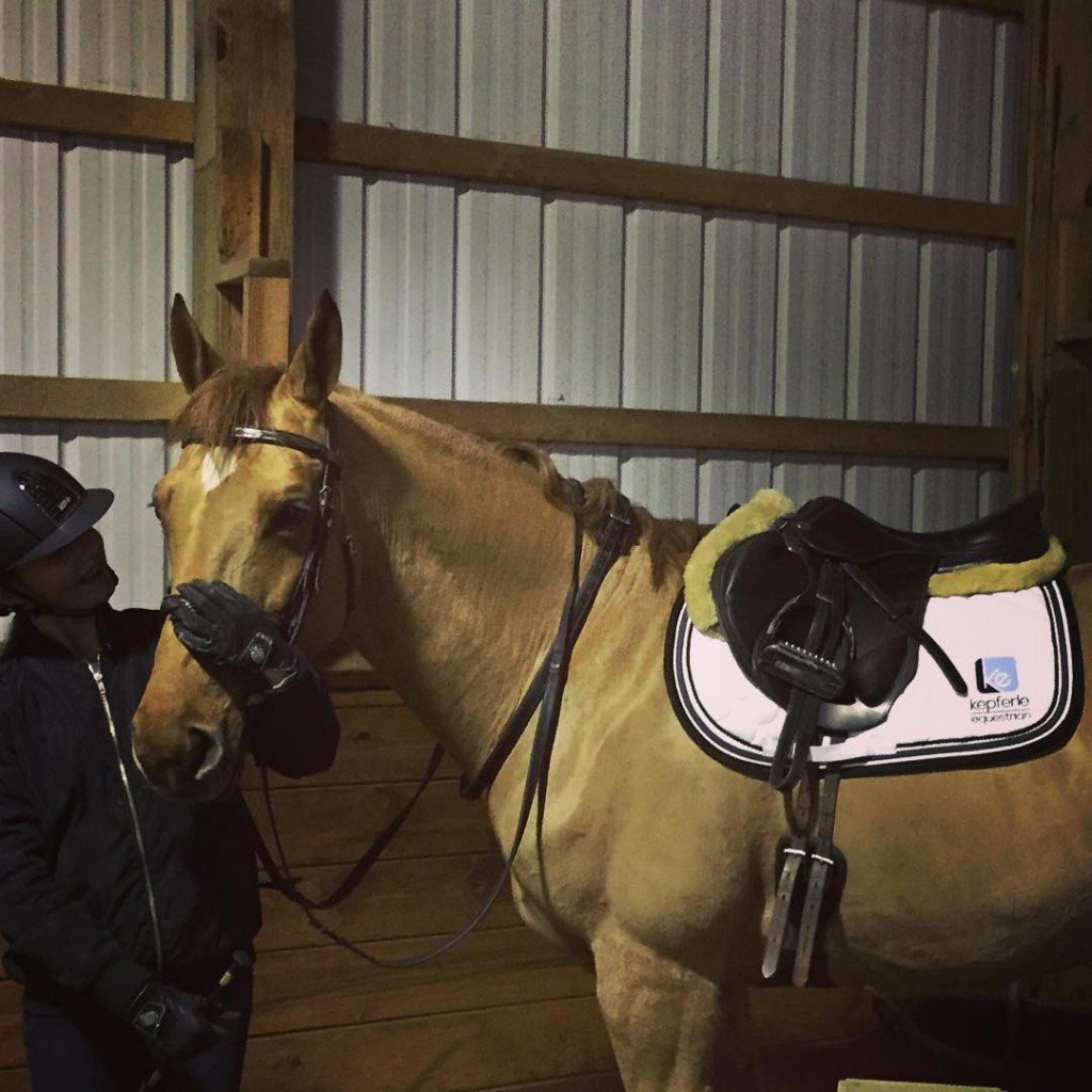 Clean Round Equine Laundry and Embroidery